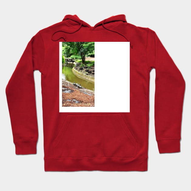 japanese zen garden with turtles maybe ninjas art Hoodie by jorge_lebeau